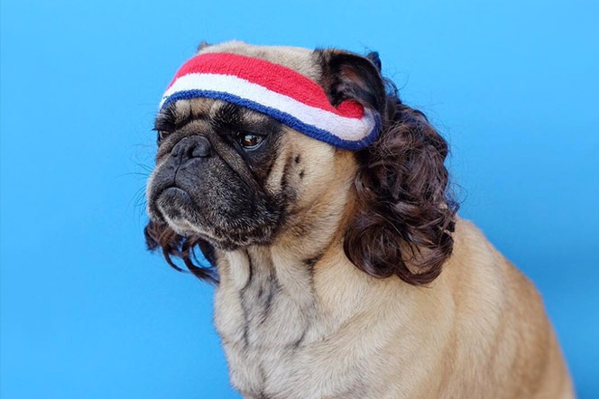 Jermzlee carlino simpatico