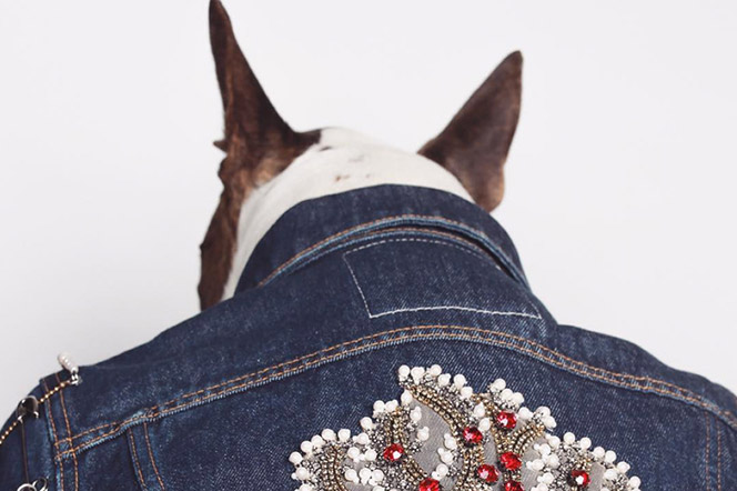 Neville perro del diseñador Marc Jacobs