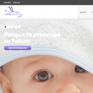 Pantallazao safestycord.com